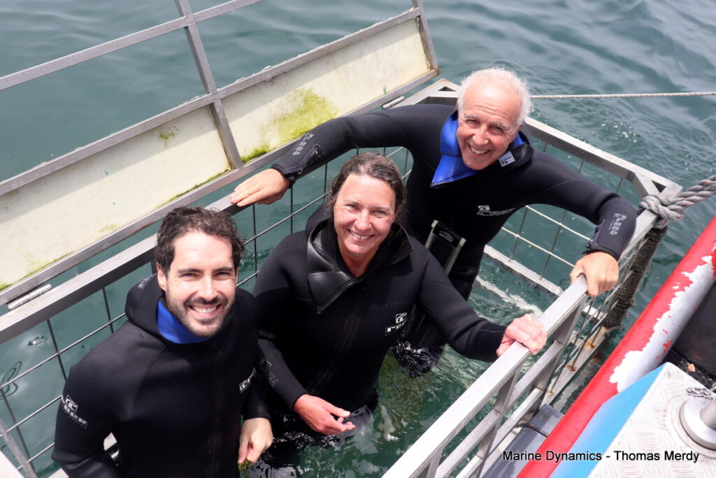 Shark cage diving, Gansbaai, South Africa