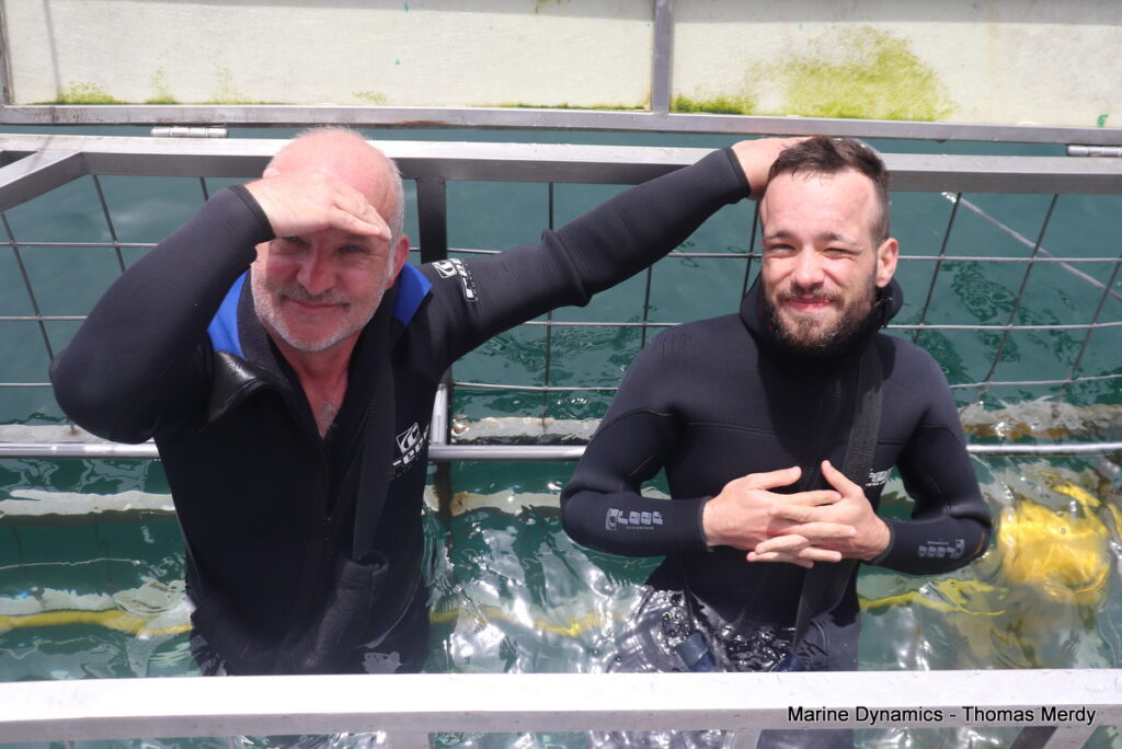Shark cage diving, Gansbaai, South Africa