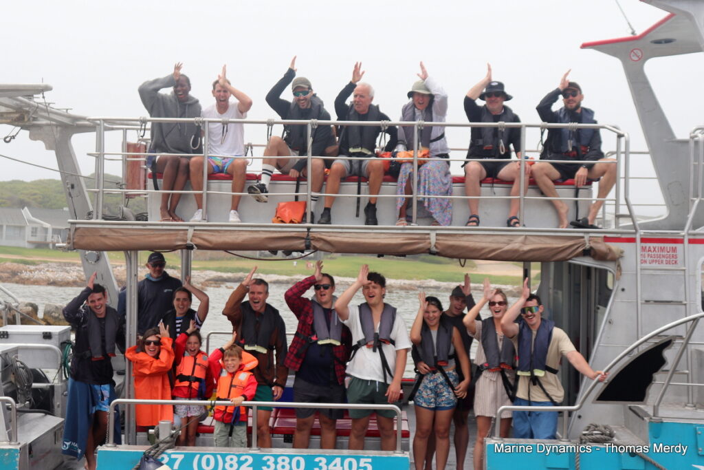 Shark cage diving, Gansbaai, South Africa