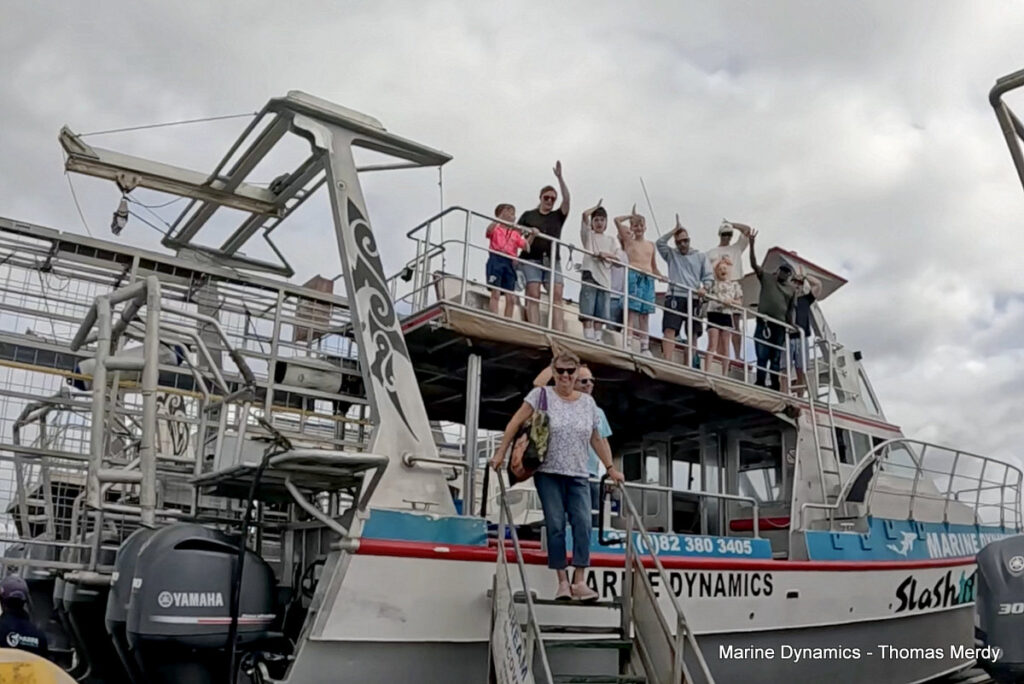 Shark cage diving, Gansbaai