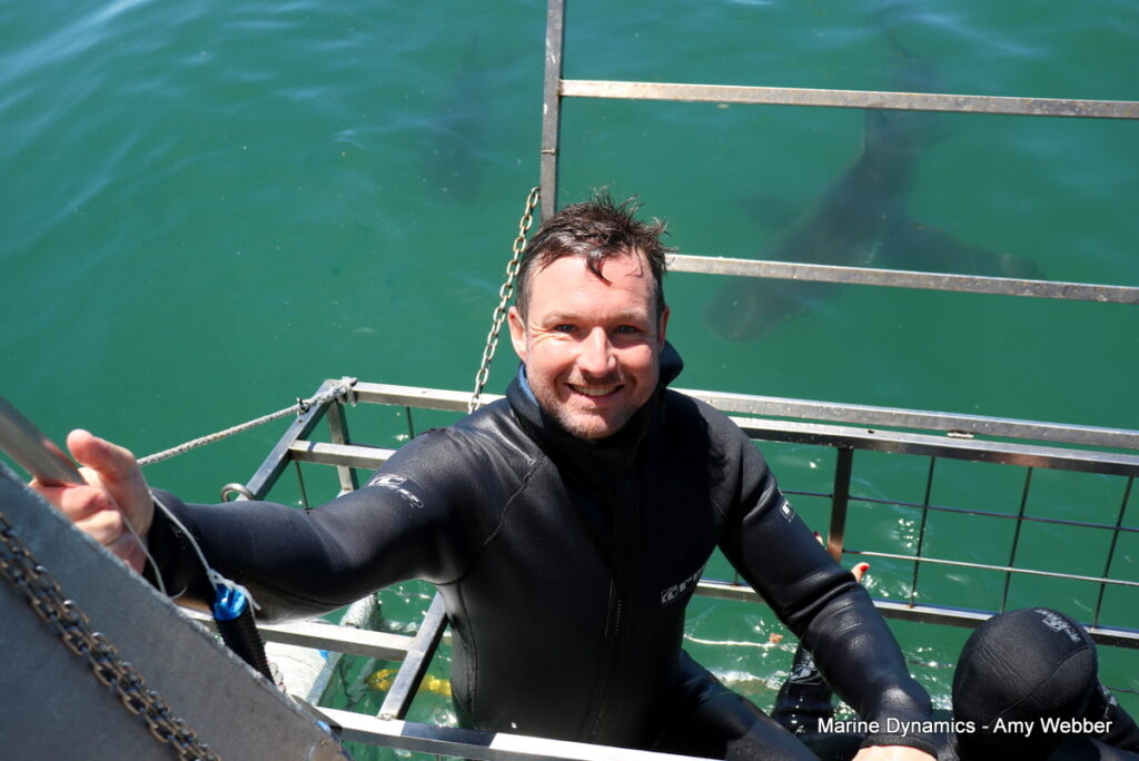 Shark cage diving, Gansbaai, South Africa