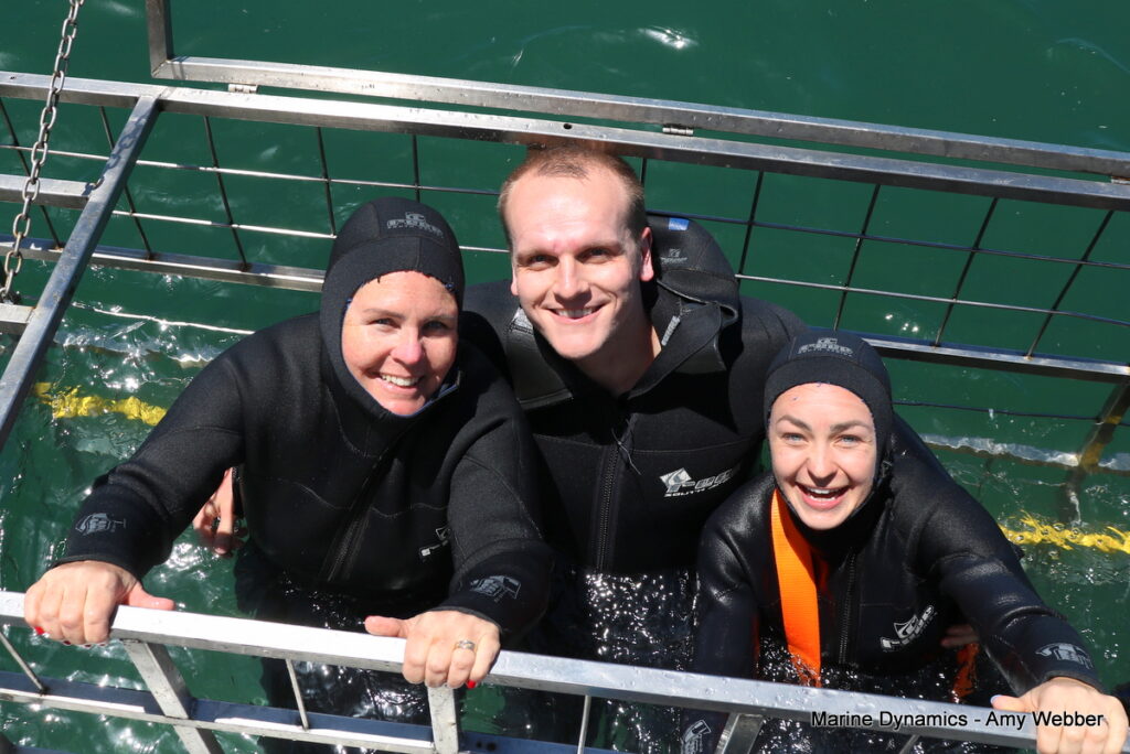 Shark cage diving, Gansbaai, South Africa