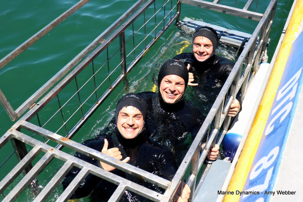 Shark cage diving, Gansbaai, South Africa