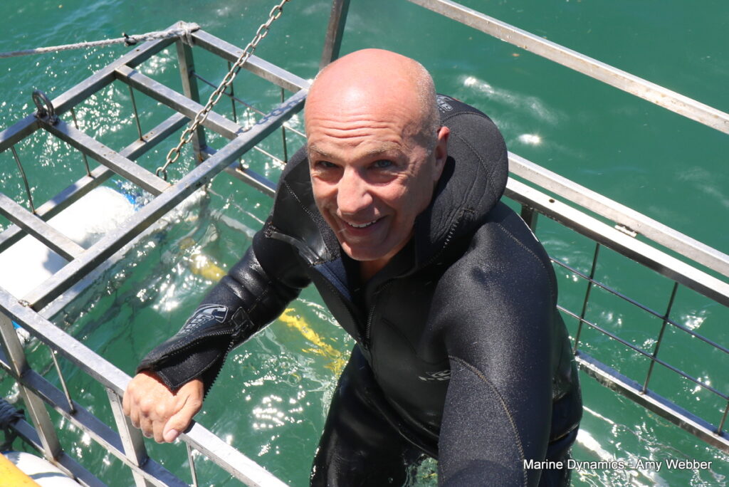 Shark cage diving, Gansbaai, South Africa