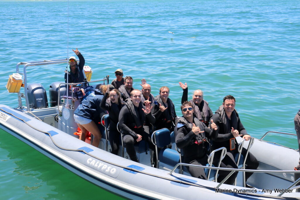 Shark cage diving, Gansbaai, South Africa