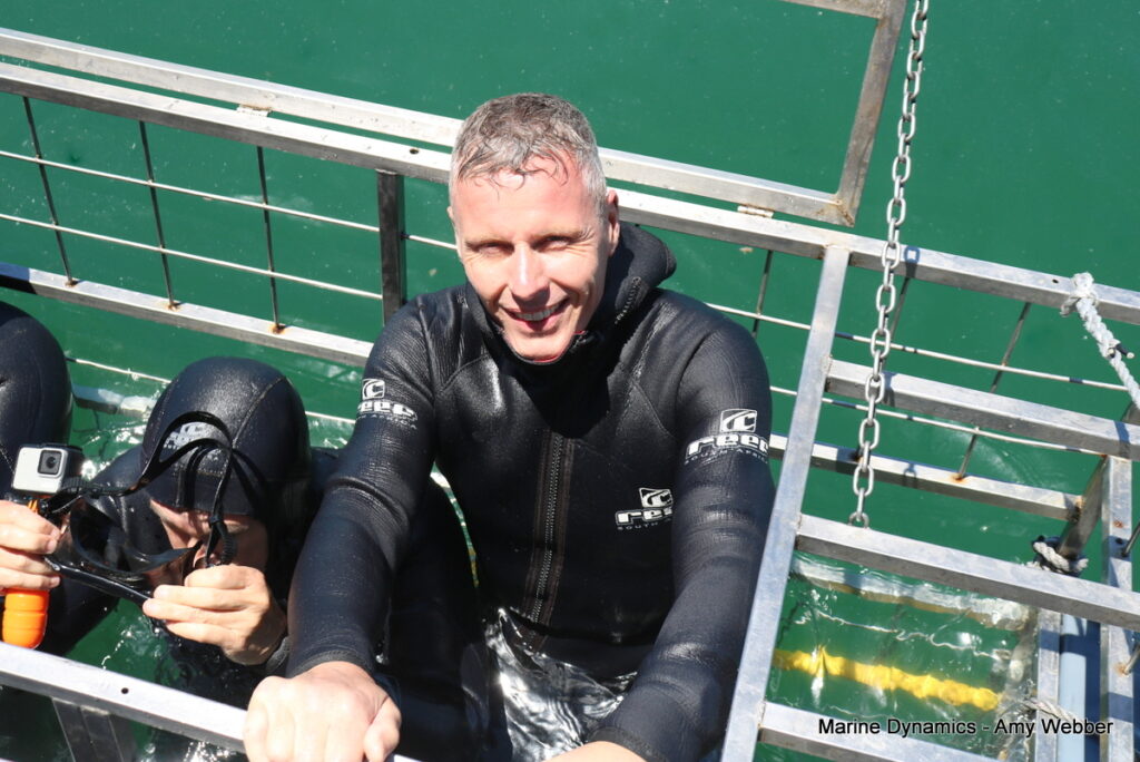Shark cage diving, Gansbaai, South Africa