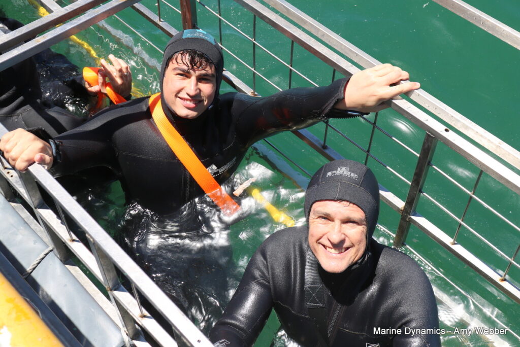 Shark cage diving, Gansbaai, South Africa