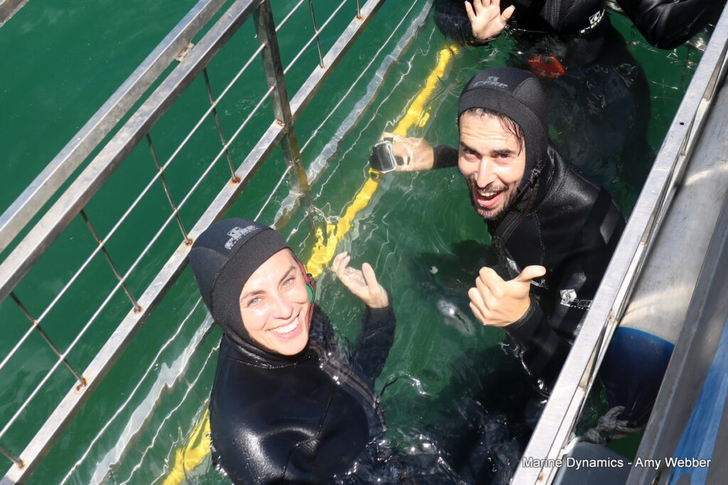 Shark cage diving, Gansbaai, South Africa