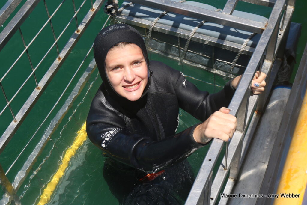 Shark cage diving, Gansbaai, South Africa