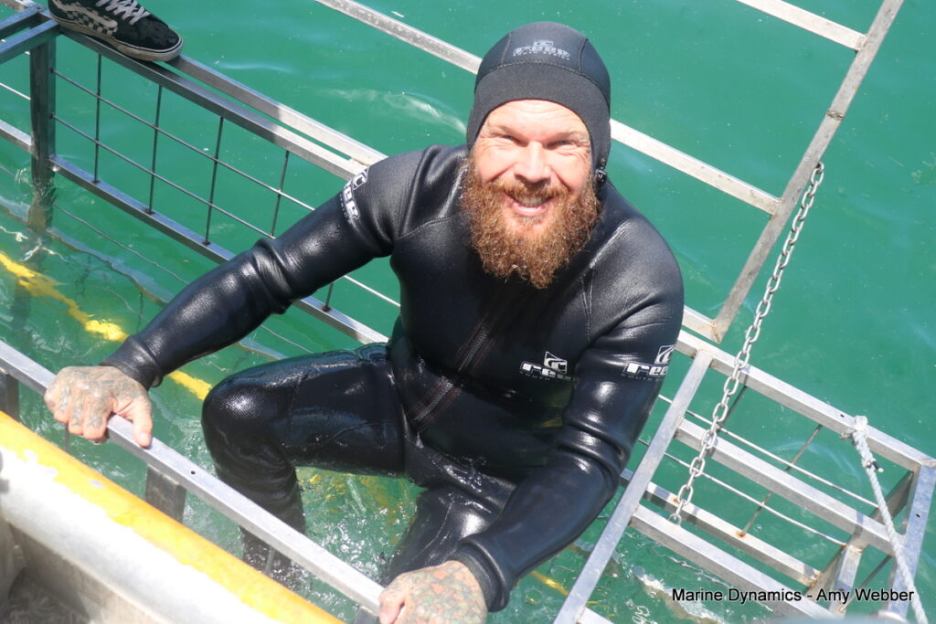 Shark cage diving, Gansbaai, South Africa