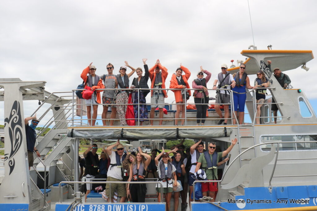 Shark cage diving, Gansbaai, South Africa