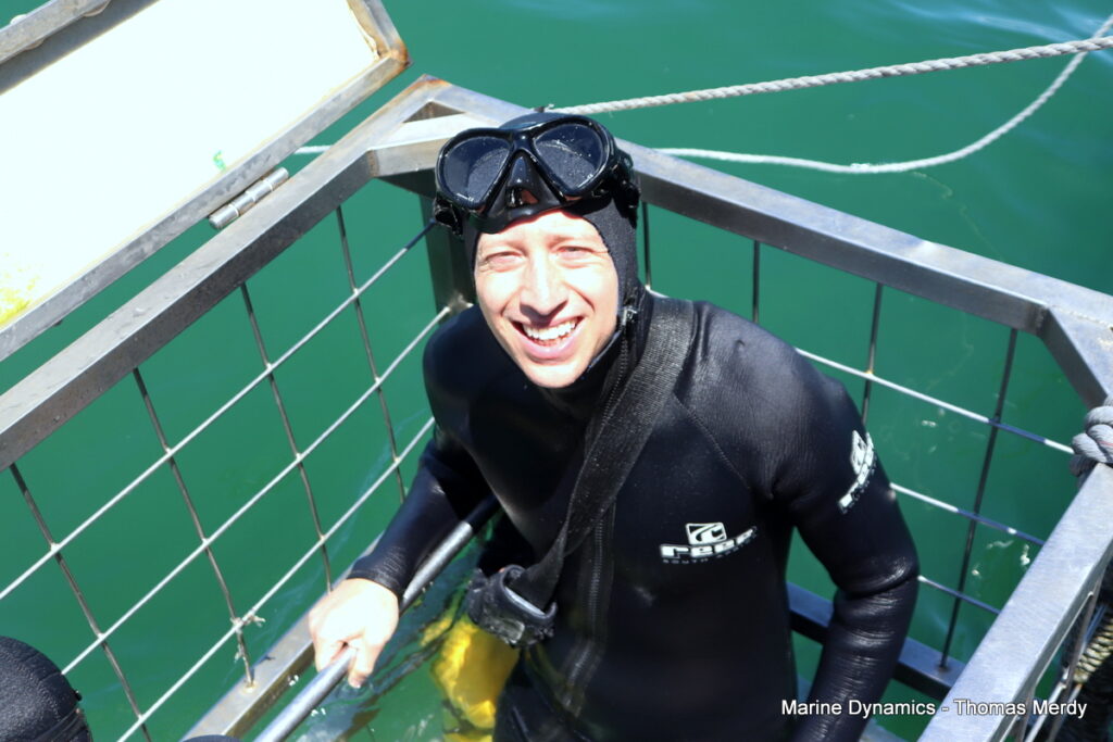 Shark cage diving, Gansbaai, South Africa