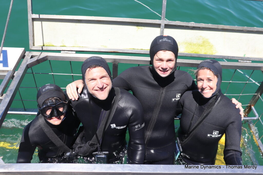 Shark cage diving, Gansbaai, South Africa