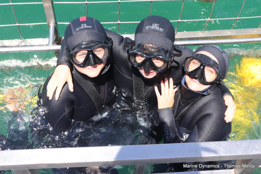 Shark cage diving, Gansbaai, South Africa