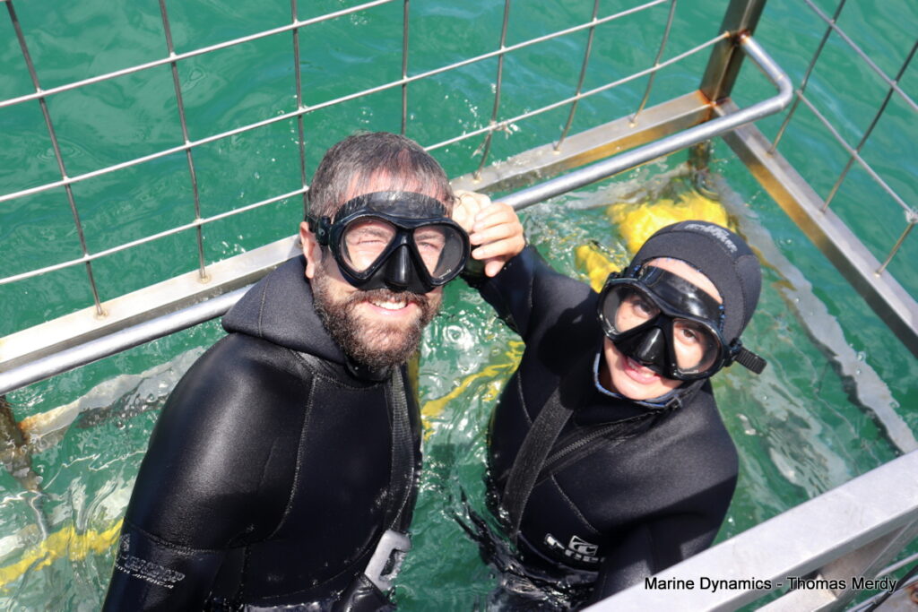 Shark cage diving, Gansbaai, South Africa