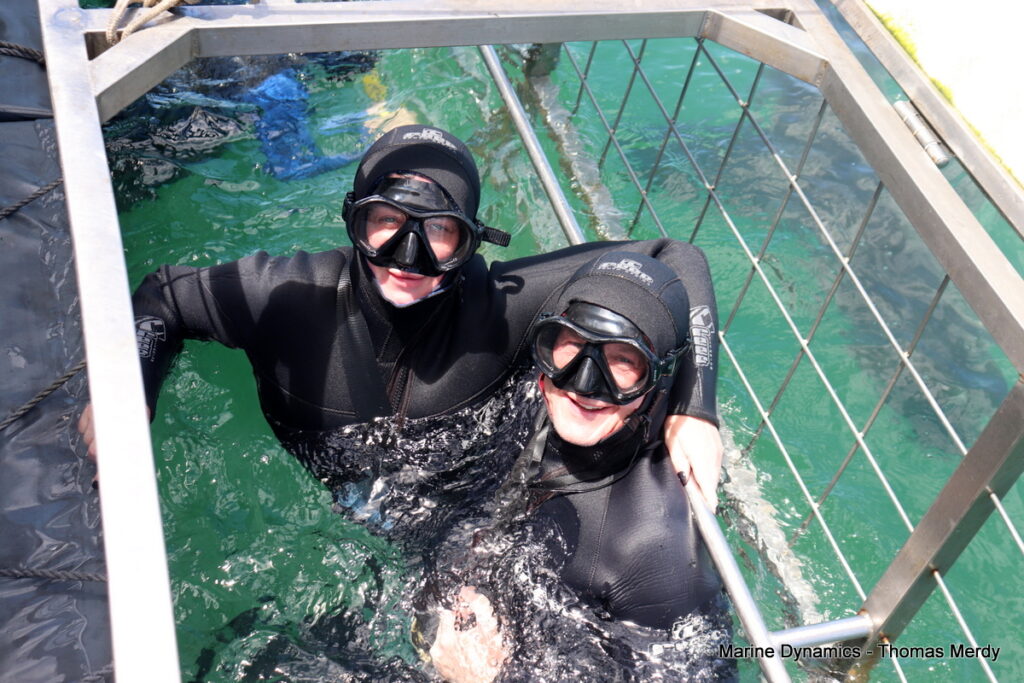 Shark cage diving, Gansbaai, South Africa