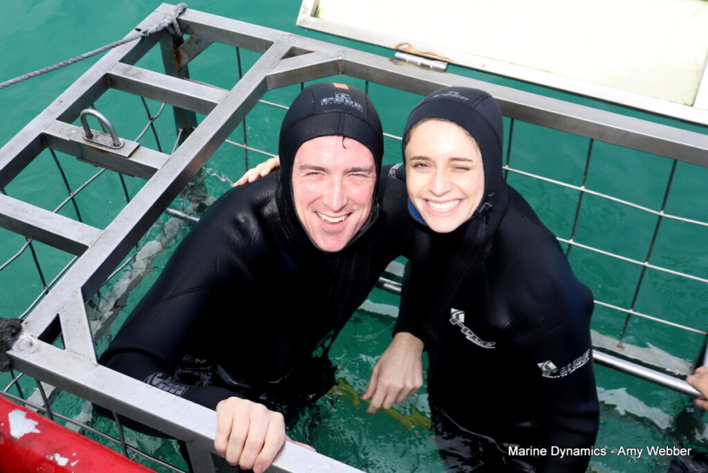 Shark cage diving, Gansbaai, South Africa
