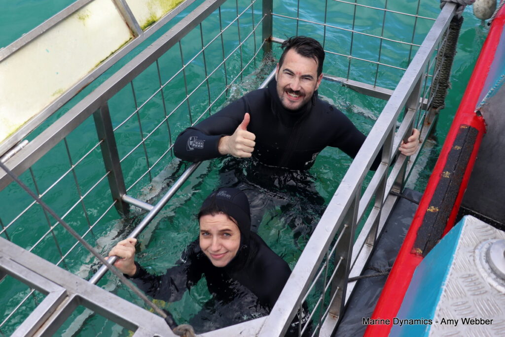 Shark cage diving, Gansbaai, South Africa