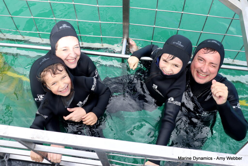 Shark cage diving, Gansbaai, South Africa