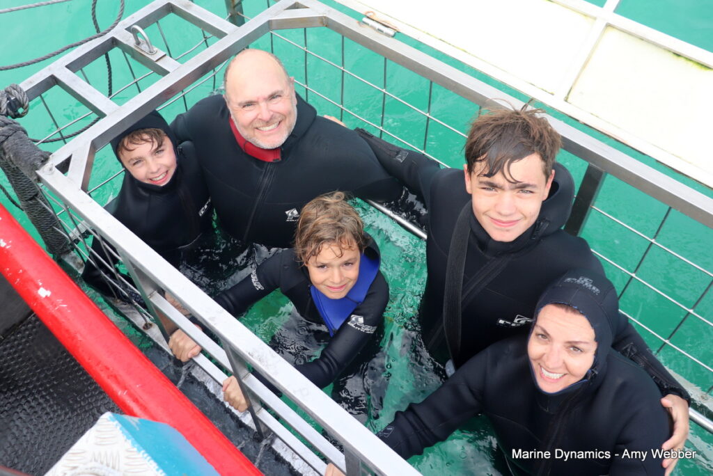 Shark cage diving, Gansbaai, South Africa