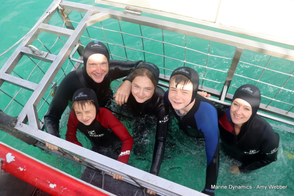Shark cage diving, Gansbaai, South Africa