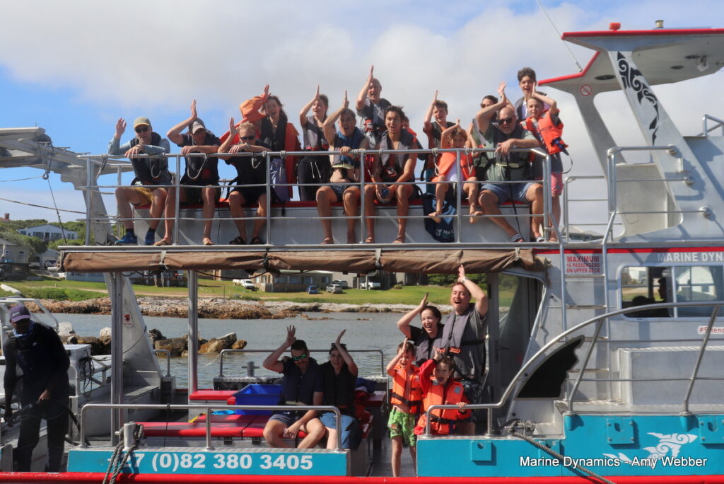Shark cage diving, Gansbaai, South Africa