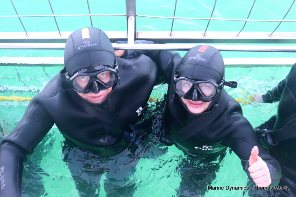 Shark cage diving, South Africa, Gansbaai
