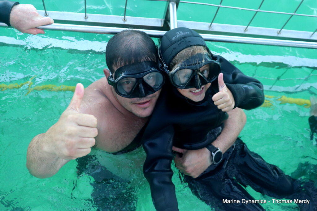 Shark cage diving, South Africa, Gansbaai