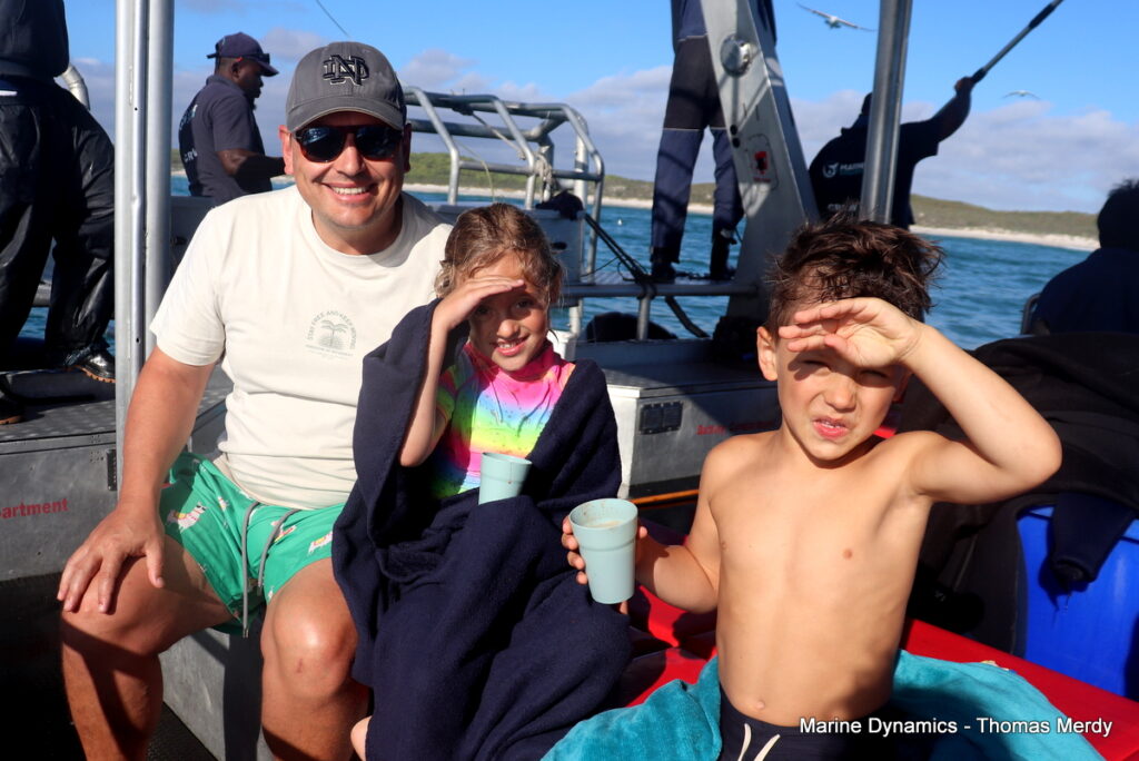 Shark cage diving, South Africa, Gansbaai