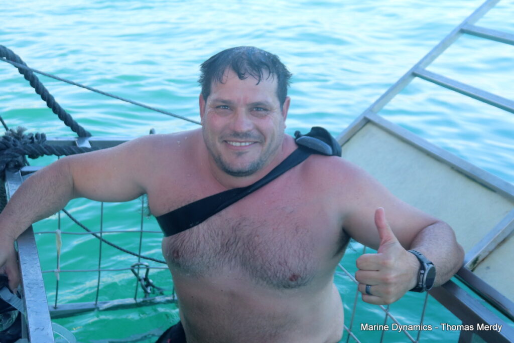 Shark cage diving, South Africa, Gansbaai