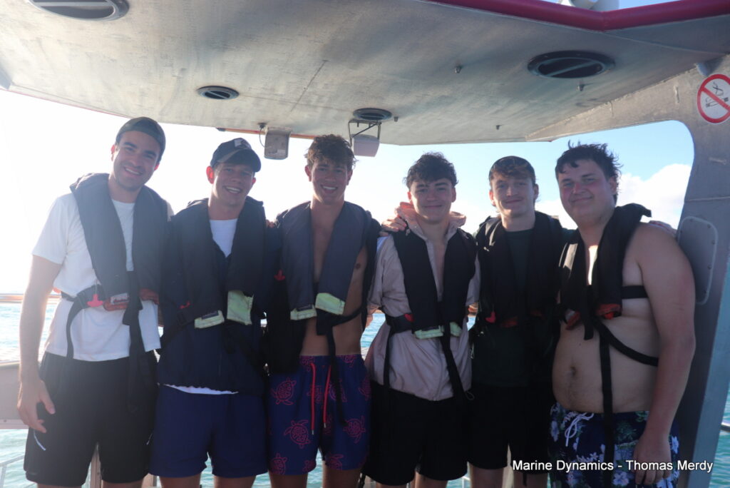 Shark cage diving, South Africa, Gansbaai