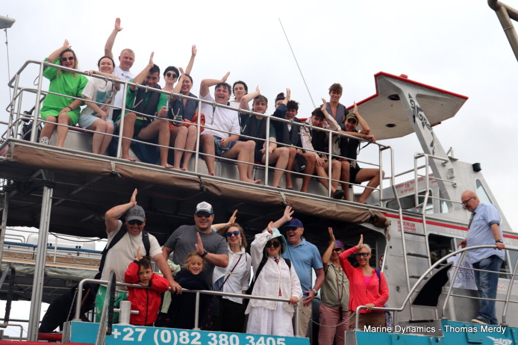 Shark cage diving, South Africa, Gansbaai