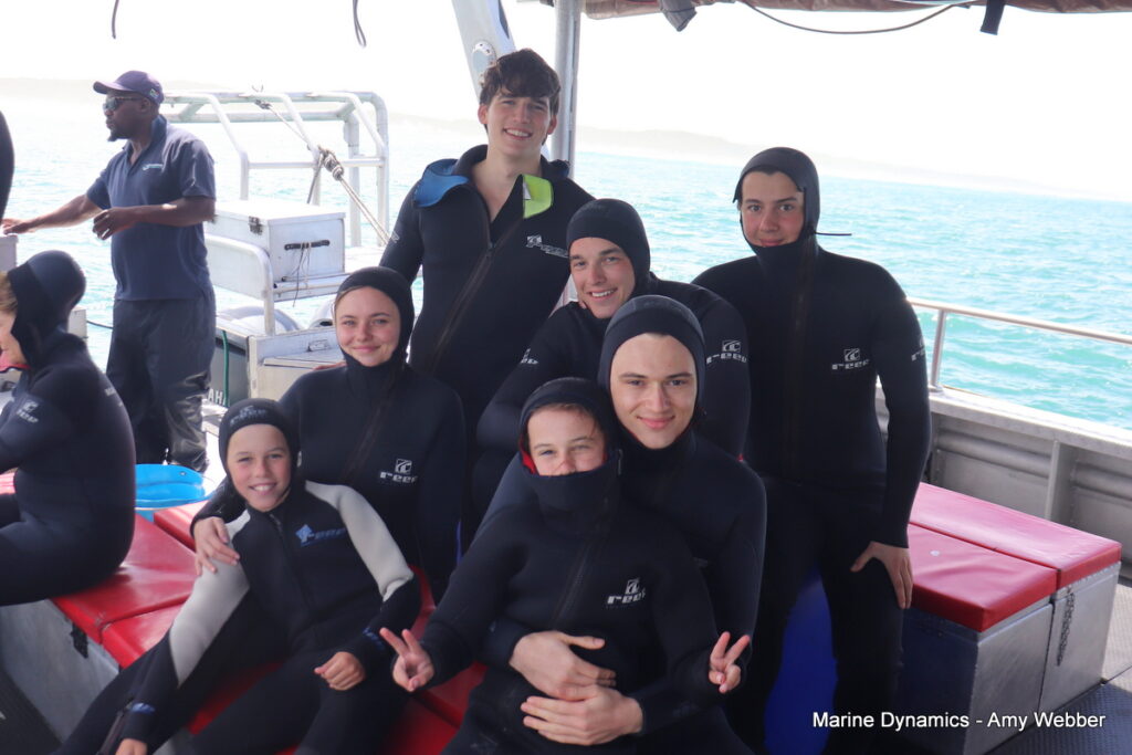 Shark cage diving, Gansbaai, South Africa