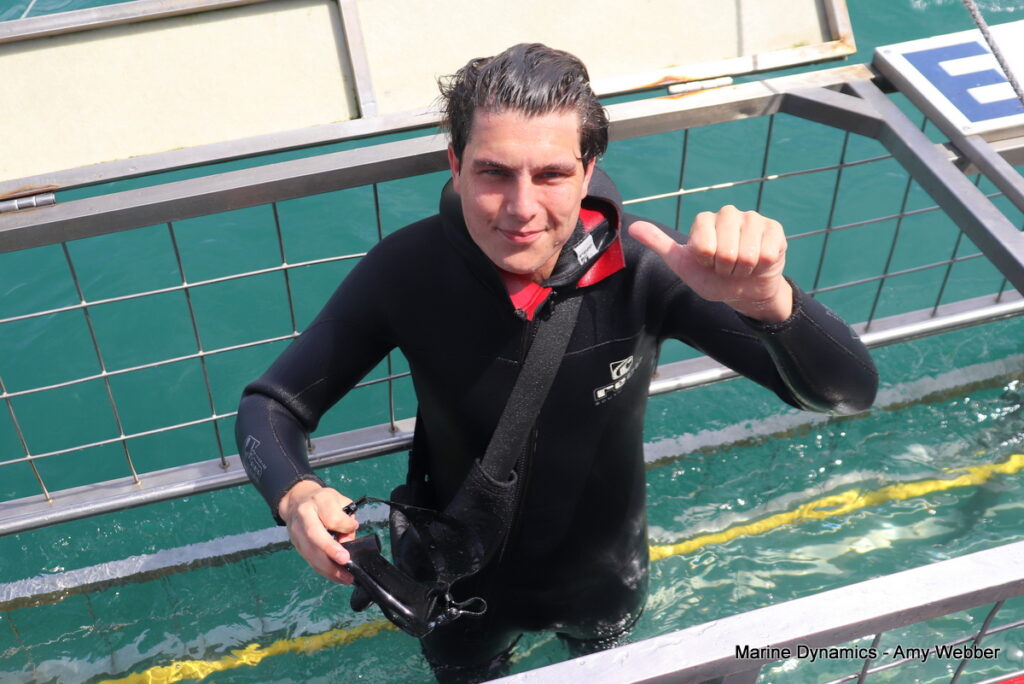 Shark cage diving, Gansbaai, South Africa