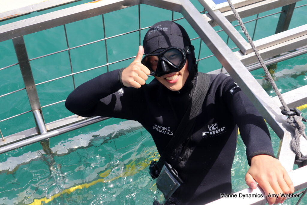 Shark cage diving, Gansbaai, South Africa