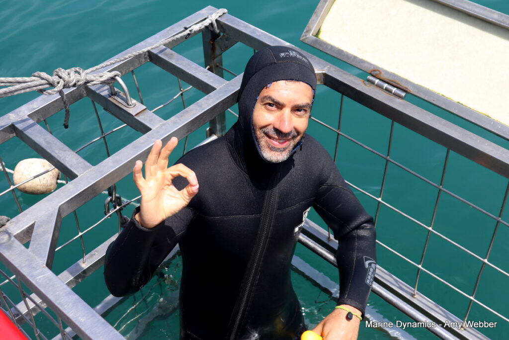 Shark cage diving, Gansbaai, South Africa