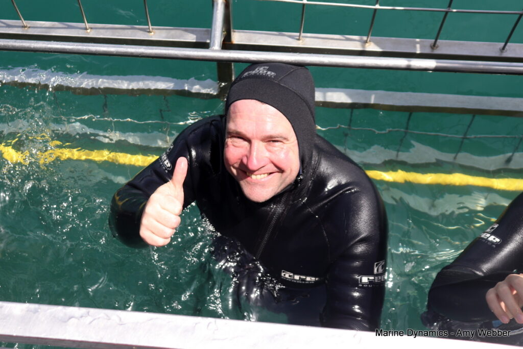 Shark cage diving, Gansbaai, South Africa
