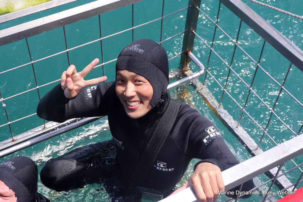 Shark cage diving, Gansbaai, South Africa