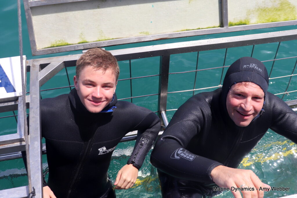 Shark cage diving, Gansbaai, South Africa