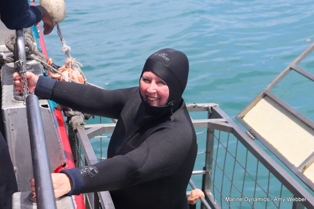 Shark cage diving, Gansbaai, South Africa