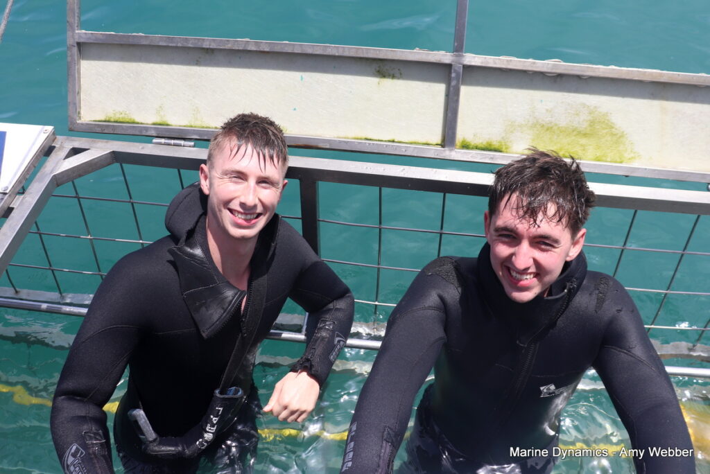 Shark cage diving, Gansbaai, South Africa