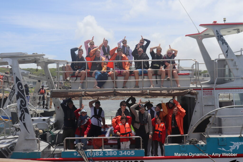 Shark cage diving, Gansbaai, South Africa