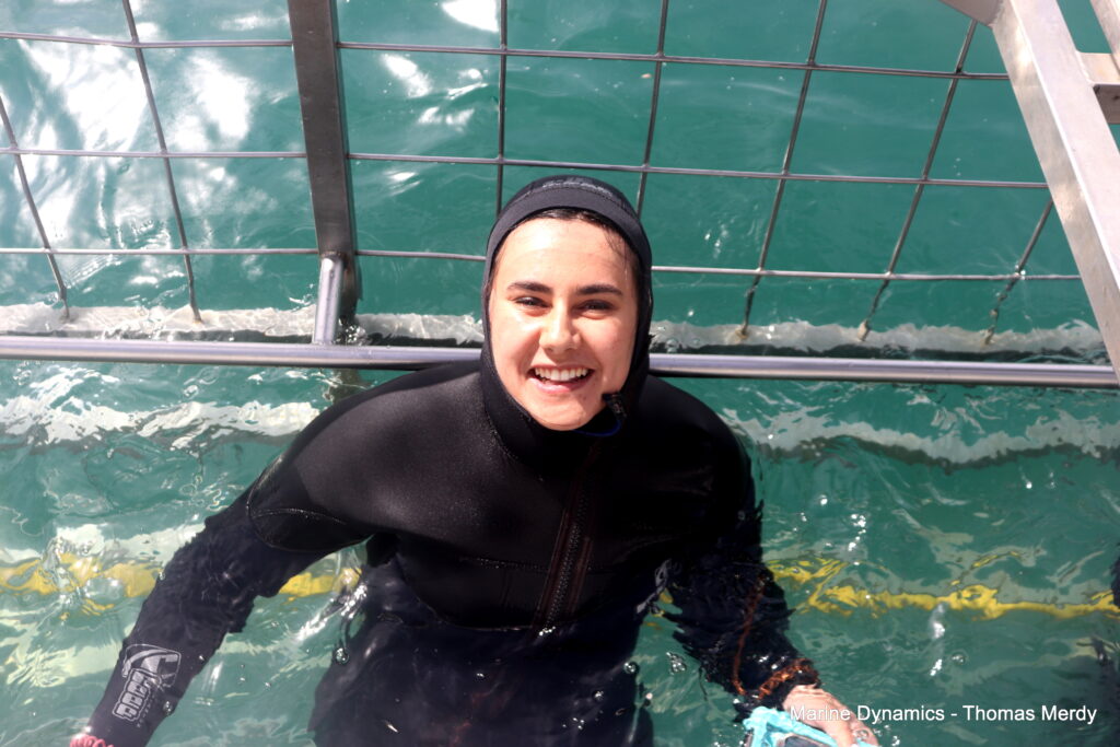 Shark cage diving, South Africa, Gansbaai