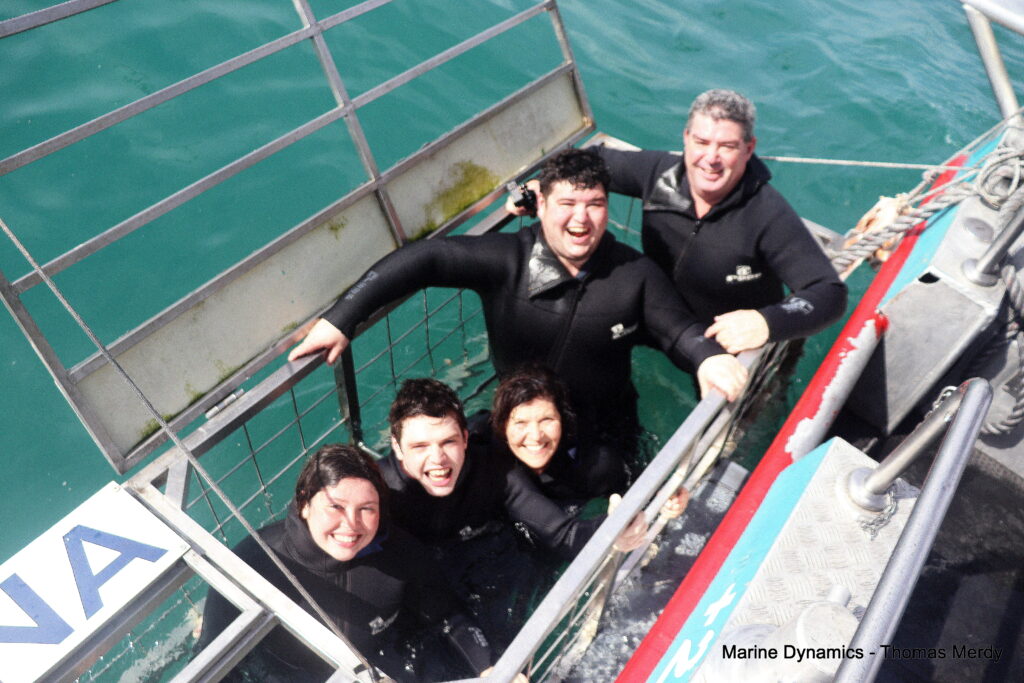 Shark cage diving, South Africa, Gansbaai