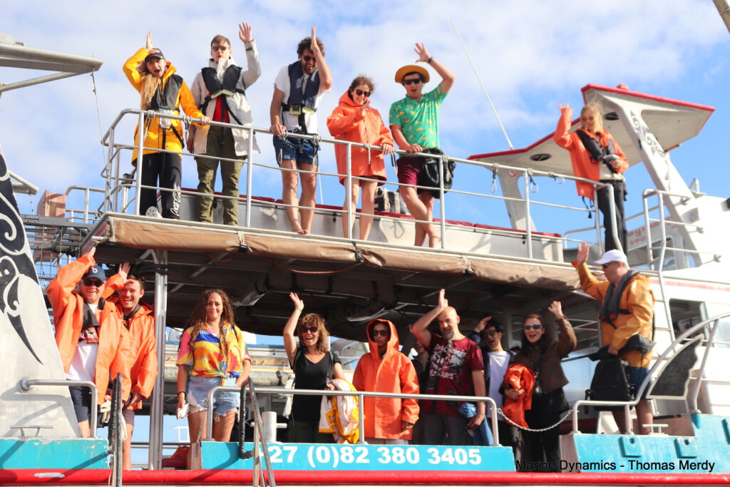 Shark cage diving, South Africa, Gansbaai