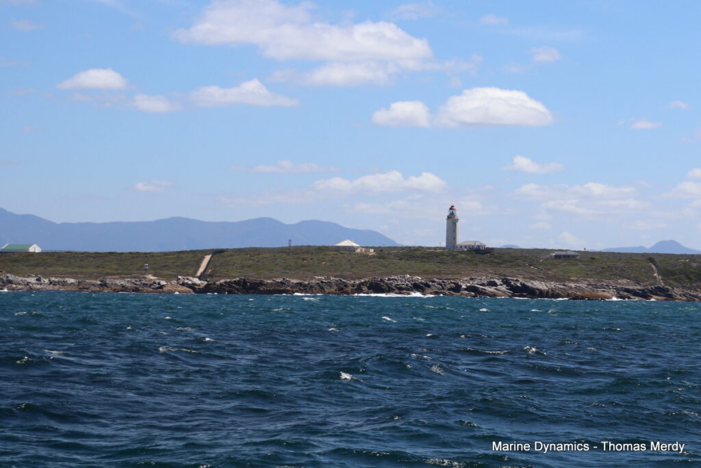 Shark cage diving, Gansbaai, South Africa