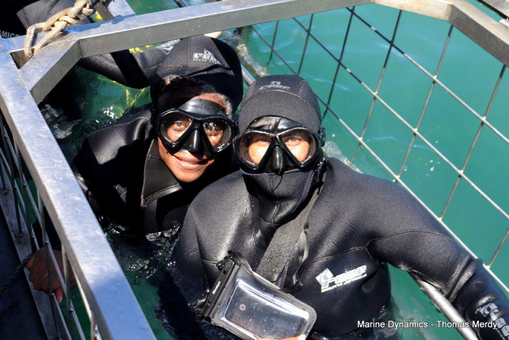 Shark cage diving, Gansbaai, South Africa