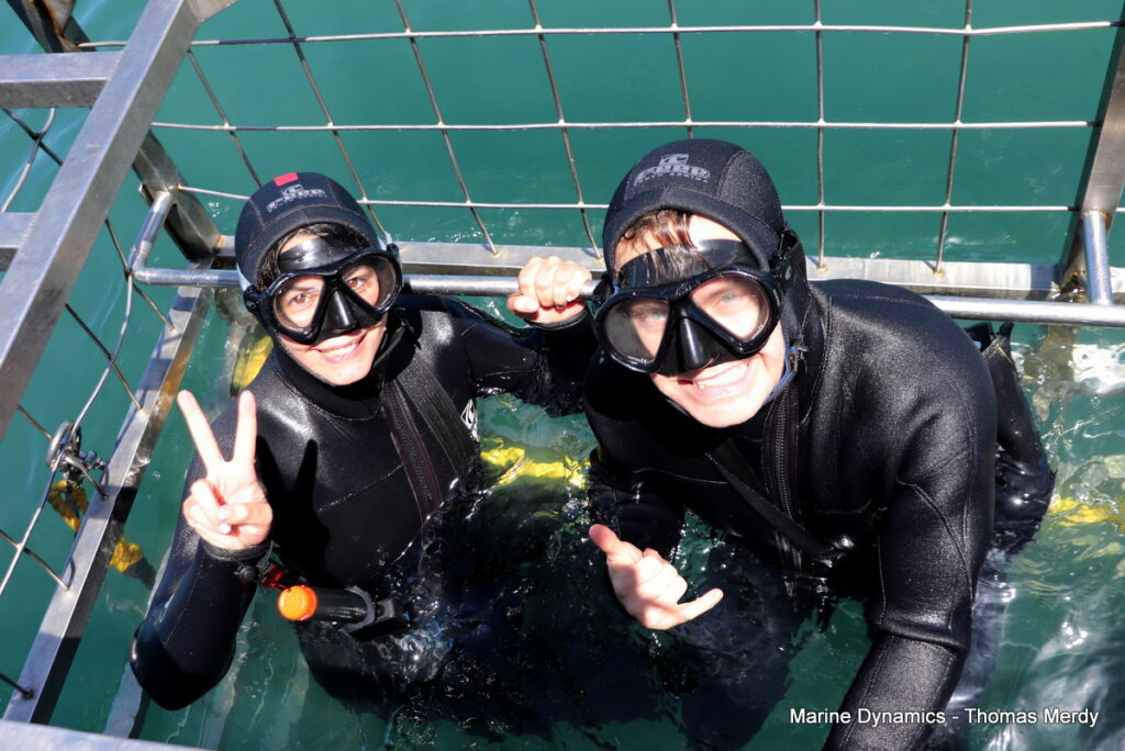 Shark cage diving, Gansbaai, South Africa