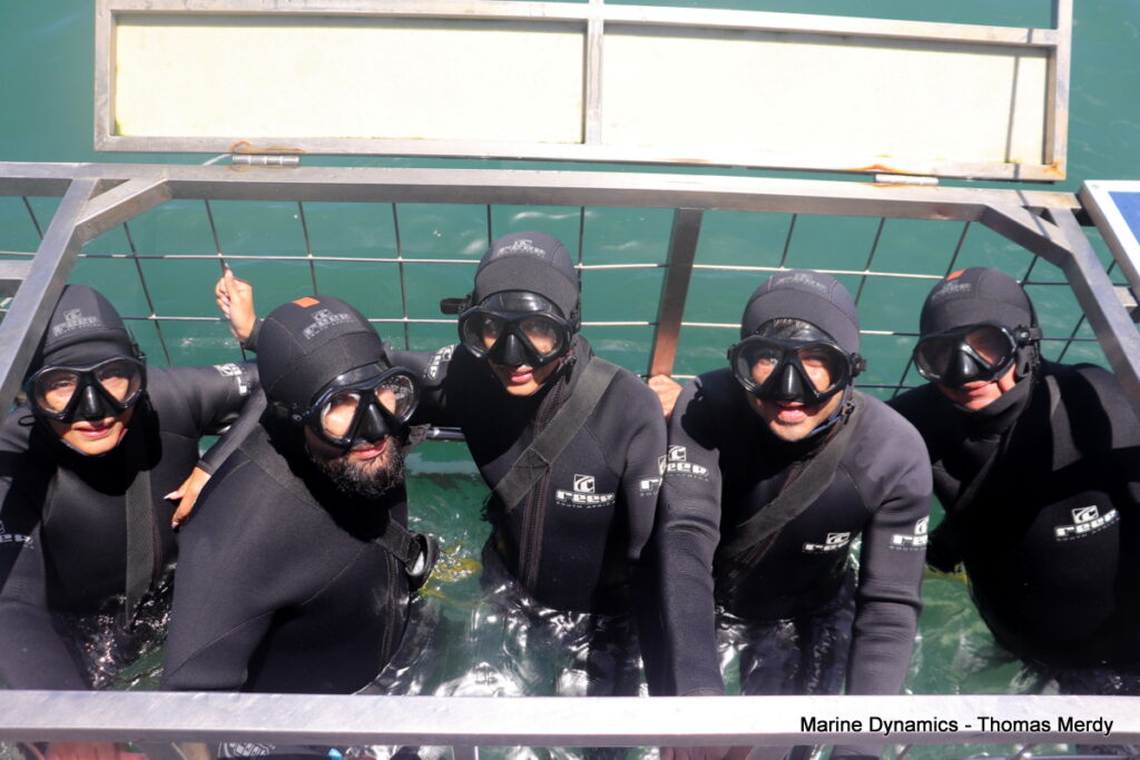Shark cage diving, Gansbaai, South Africa