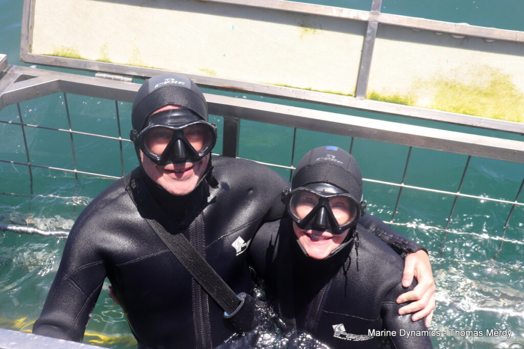Shark cage diving, Gansbaai, South Africa